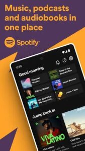 Spotify Premium Mod APK 8.9.40.509 [Sin anuncios] 2024 5